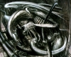 Alien X